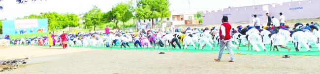 ಅಂತಾರಾಷ್ಟ್ರೀಯ ಯೋಗ ದಿನ ಆಚರಣೆ: ಸಾವಿರಕ್ಕೂ ಹೆಚ್ಚು ಮಂದಿ ಭಾಗಿ 