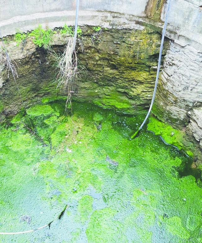 ಕುಡಿಯಲು ಶುದ್ಧ ನೀರಿಲ್ಲದೆ ಗೋಳಾಡುತ್ತಿರುವ ಕಲ್ಲದೇವನಹಳ್ಳಿ ಗ್ರಾಮಸ್ಥರು  