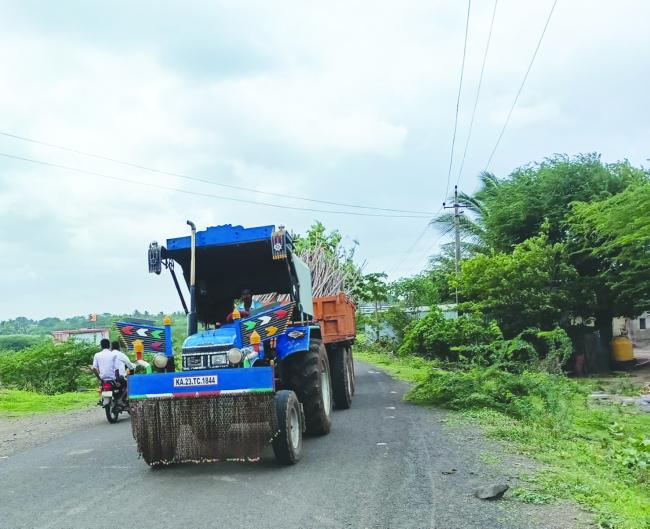 ಶಾಸಕ ಲಕ್ಷ್ಮಣ ಸವದಿ ಆದೇಶದಂತೆ ವಿವಿಧ ಜಾತಿಯ 7,500 ಸಸಿಗಳು ನಾಟಿ  