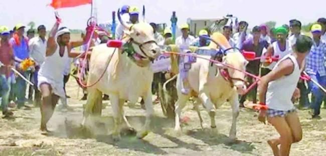 ಜುಲೈ 1 ರಿಂದ ಮಹಾಲಿಂಗಪುರ ಪಟ್ಟಣದಲ್ಲಿ ಬೃಹತ್ ಮೊತ್ತಗಳ ತೆರುಬಂಡಿ ವೈಭವ 