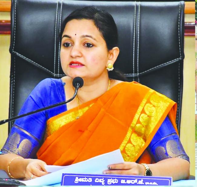 ತಹಶೀಲ್ದಾರ ಪಾಲನಾ ವರದಿ ಸಲ್ಲಿಸಬೇಕು: ಜಿಲ್ಲಾಧಿಕಾರಿ ದಿವ್ಯ ಪ್ರಭು 