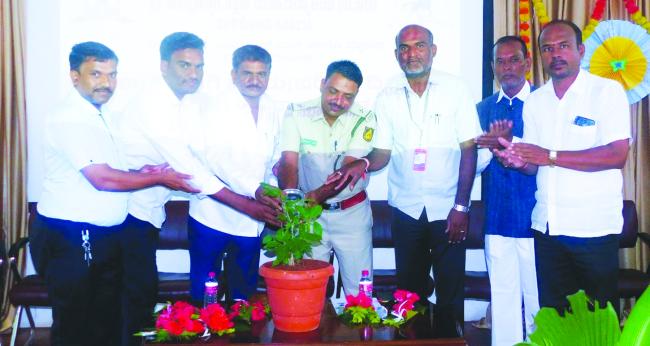 ಸಾಲುಮರದ ತಿಮ್ಮಕ್ಕಳ ಪರಿಸರ ಕಾಳಜಿ ಅನುಕರಣೀಯ: ಹಾದಿಮನಿ 