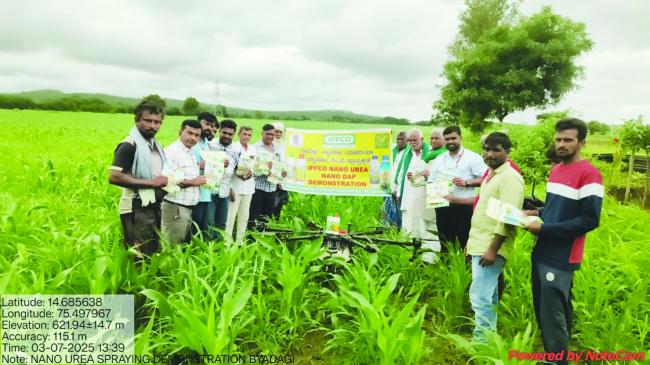ಡ್ರೋನ್ ಮೂಲಕ ಗೋವಿನ ಜೋಳದ ಬೆಳೆಗೆ ಡಿಎಪಿ ಸಿಂಪಡಣೆ 