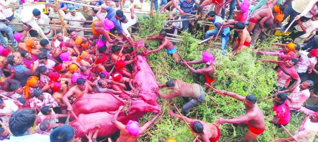 ಕಾಗವಾಡದಲ್ಲಿ ಸಂಭ್ರಮದ ಕಾರ ಹುಣ್ಣವೆ ಆಚರಣೆ  