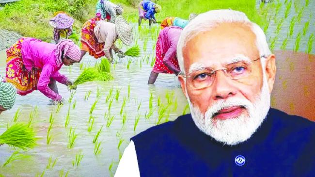 ಪ್ರಧಾನ ಮಂತ್ರಿ ಧನ್-ಧಾನ್ಯ ಕೃಷಿ ಯೋಜನೆಗೆ ಕೇಂದ್ರ ಸಂಪುಟ  ಅನುಮೋದನೆ