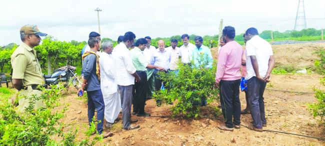 ವಿವಿಧೆಡೆ ಕೊಪ್ಪಳ ಜಿಲ್ಲಾಧಿಕಾರಿ ಸುರೇಶ ಬಿ. ಇಟ್ನಾಳ ಭೇಟಿ: ರೈತರೊಂದಿಗೆ ಚರ್ಚೆ 