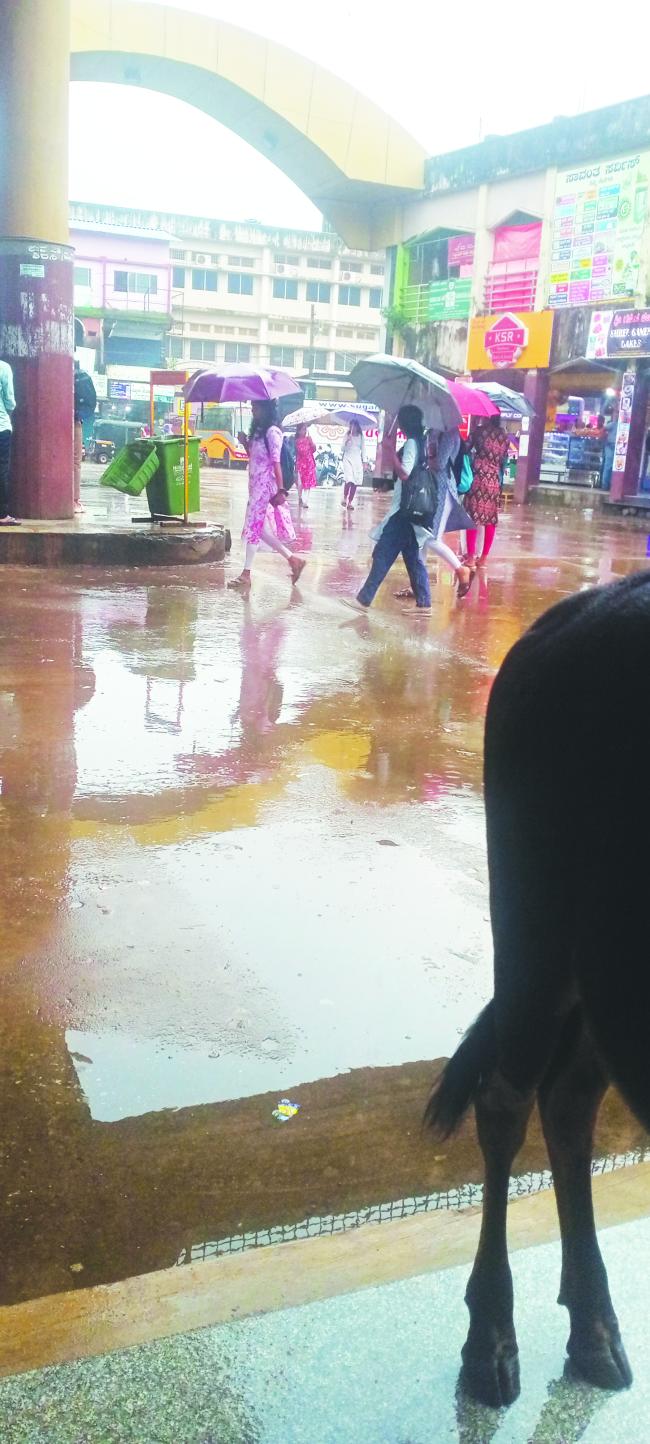 ಕಾರವಾರ ಮಳೆ:  ಕಾರವಾರ ಬಸ್ ಡಿಪೋ ಜಲಮಯ