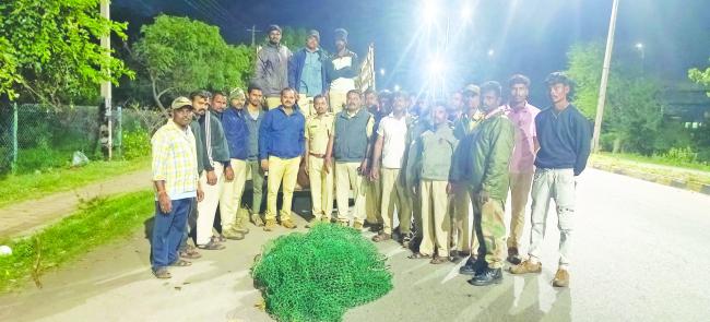 ಬಳ್ಳಾರಿ ನಗರದಲ್ಲಿ ಕಾಣಿಸಿಕೊಂಡಿದ್ದ ಕರಡಿಯ ರಕ್ಷಣೆ 