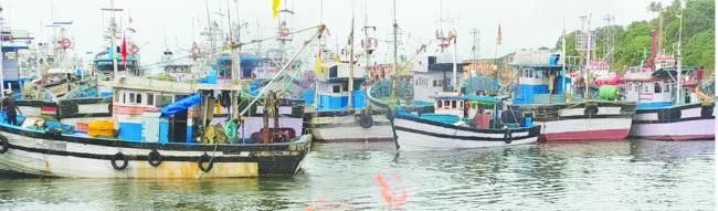 ಅರಬ್ಬೀ ಸಮುದ್ರದಲ್ಲಿ ಮೀನು ಬೇಟೆ ಆರಂಭ : ವಿರಾಮದ ನಂತರ ಯಾಂತ್ರಿಕ ಬೋಟಗಳ ಸದ್ದು