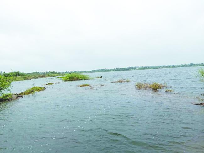 ಬಸವೇಶ್ವರ ಏತ ನೀರಾವರಿ ಯೋಜನೆಯಿಂದ ಅನುಕೂಲ: ಕಬ್ಬಿನ ಬೆಳೆಗೆ ಹೆಚ್ಚಿದ ಒಲವು 