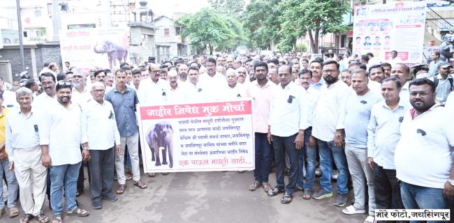 ಮಾಧುರಿ ಆನೆಯನ್ನು ಮರಳಿ ಮಠಕ್ಕೆ ನೀಡಬೇಕೆಂದು ಜಿಲ್ಲಾಧಿಕಾರಿಗಳಿಗೆ ಮನವಿ 