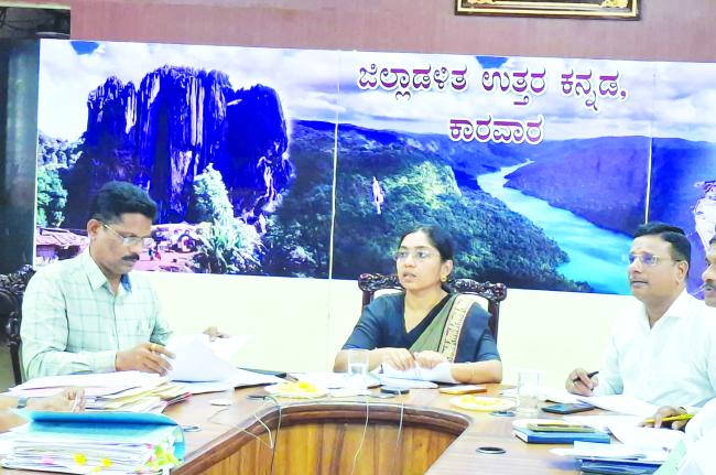 ಜಿಲ್ಲೆಯಲ್ಲಿ ಕೈಗಾರಿಕೆಗಳ ಅಭಿವೃದ್ಧಿಗೆ ಪೂರಕ ವ್ಯವಸ್ಥೆ ಒದಗಿಸಿ: ಜಿಲ್ಲಾಧಿಕಾರಿ 