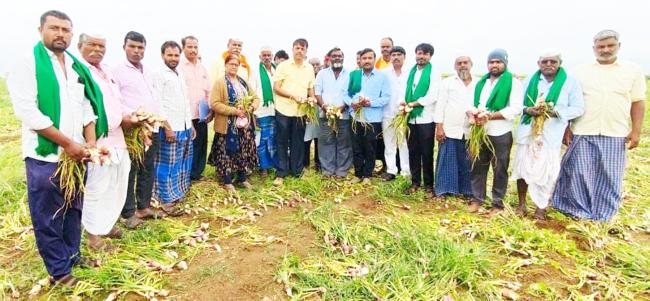 ನಷ್ಟಗೊಂಡ ಈರುಳ್ಳಿ ಬೆಳೆ ವಿಕ್ಷಣೆ ಮಾಡಿದ ತೋಟಗಾರಿಕೆ ಅಧಿಕಾರಿಗಳು 