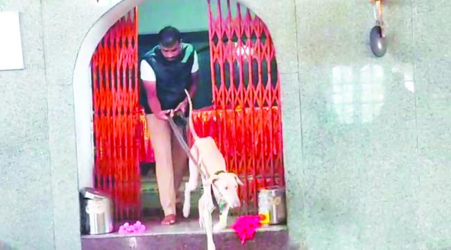 ಮರೆಗುದ್ದಿ ದಿಗಂಬರೇಶ್ವರ ದೇವಸ್ಥಾನದದಲ್ಲಿ ಕಳ್ಳತನ ದೇವರ ಮೂರ್ತಿ, ಬಂಗಾರದ ವಸ್ತುಗಳು, ಹುಂಡಿ ಹಣ ಕದ್ದು ಪರಾರಿ 