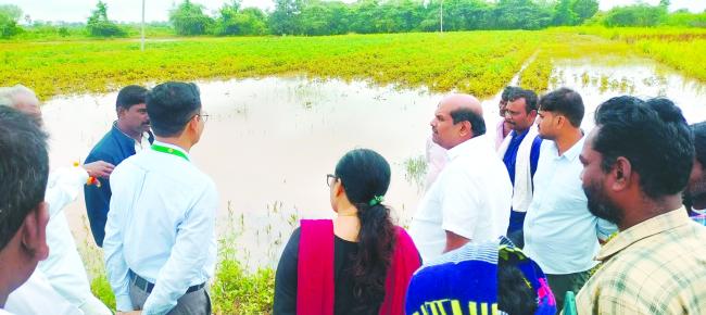 ಕೂಡಲೇ ಎಕರೆಗೆ ಕನಿಷ್ಠ 25 ಸಾ.ರೂ. ಪರಿಹಾರ ನೀಡಿ: ಬಂಡೆಪ್ಪ ಖಾಶೆಂಪುರ್ 