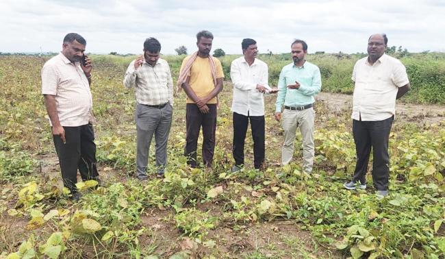 ಬೆಳೆ ಹಾನಿಯಾದ ಸ್ಥಳಗಳಿಗೆ ಅಧಿಕಾರಿಗಳು ಭೇಟಿ, ಪರೀಶೀಲನೆ  