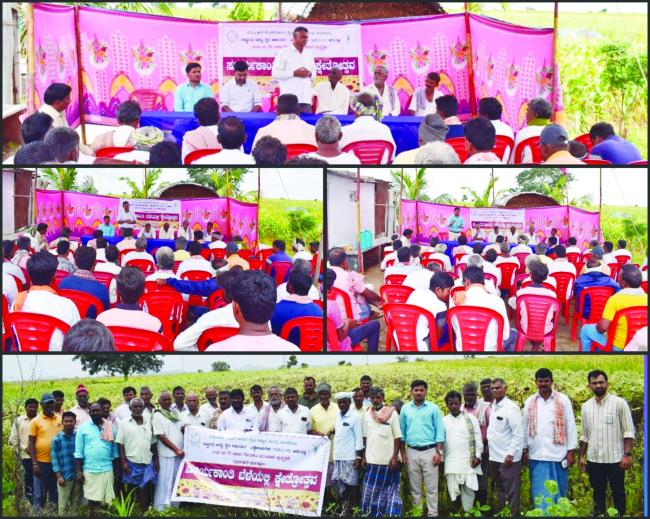 ಜಂತ್ಲಿ ಶಿರೂರ ಗ್ರಾಮದಲ್ಲಿ ಸೂರ್ಯಕಾಂತಿ ಬೆಳೆಯ ಕ್ಷೇತ್ರೋತ್ಸವ 