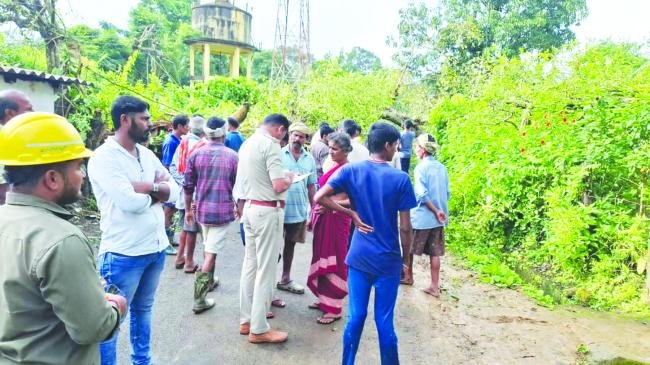 ಗರ್ಭಿಣಿ ಮೇಲೆ ಉರುಳಿದ ಆಲದ ಮರ: ಮಹಿಳೆ ಸಾವು