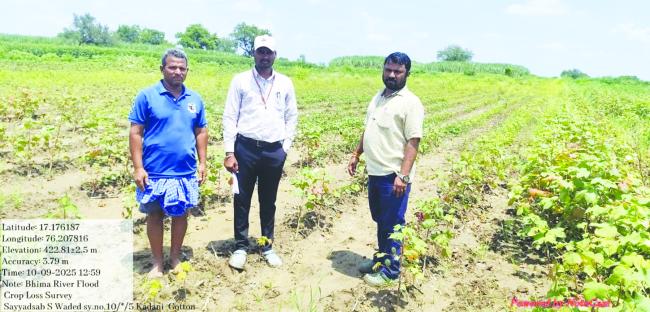 ಮಳೆಯಿಂದ ಹಾನಿ ಪ್ರದೇಶಕ್ಕೆ ಕೃಷಿ ಅಧಿಕಾರಿ ಭೇಟಿ 