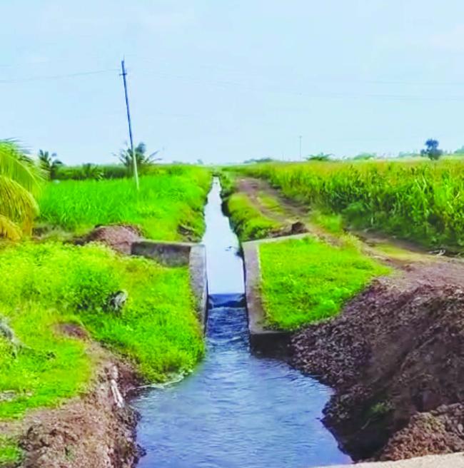 ಬಸವೇಶ್ವರ್ ಏತ್ ನೀರಾವರಿ ನೀರಿಗೆ ವಿಶೇಷ ಪೂಜೆ 