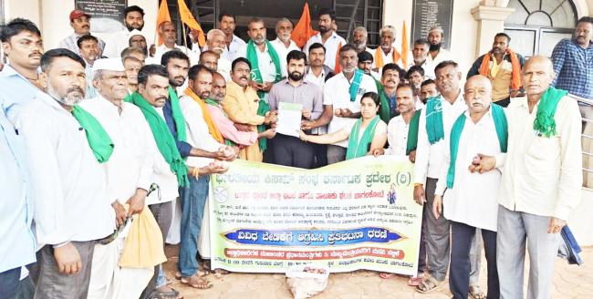 ಬೆಳೆ ಹಾನಿ: ಶೀಘ್ರ ಪರಿಹಾರಕ್ಕೆ ಹಿರೇಮಠ ಆಗ್ರಹ