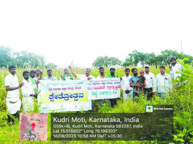 ಕುದರಿಮೋತಿ ಗ್ರಾಮದಲ್ಲಿ ಸಜ್ಜೆ ಬೆಳೆಯ ಕ್ಷೇತ್ರೋತ್ಸವ ಕಾರ್ಯಕ್ರಮ 