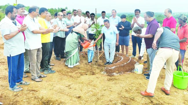 ತಿಮ್ಮಕ್ಕ ವೃಕ್ಷೋದ್ಯಾನದಲ್ಲಿ   ವನಮಹೋತ್ಸವ  