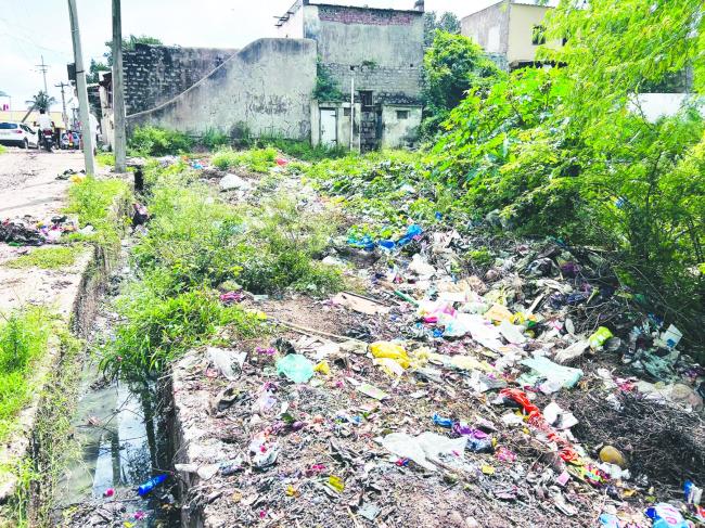ಸಾಂಕ್ರಾಮಿಕ ರೋಗದ ಭೀತಿಯಲ್ಲಿ ಇಲ್ಲಿನ ನಿವಾಸಿಗಳು ವರದಿ : ವೀರೇಶ ಈ ಸ್ಟಾಂಪಿನ 