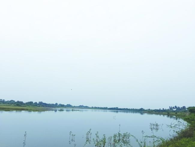 ಧಾರಾಕಾರ ಮಳೆಯಿಂದ ರೈತರ  ಬೆಳೆ ಹಾನಿ