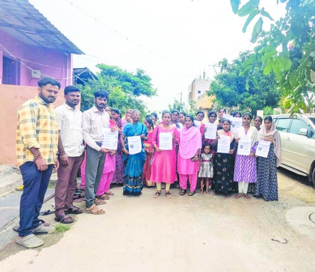 ಲಸಿಕೆ ಹಾಕಿಸಿ ರೇಬಿಸ್ ತಡೆಗಟ್ಟಿಸಿ: ಡಾ.ಕೆ.ಶೋಭಾಸಲಹೆ 