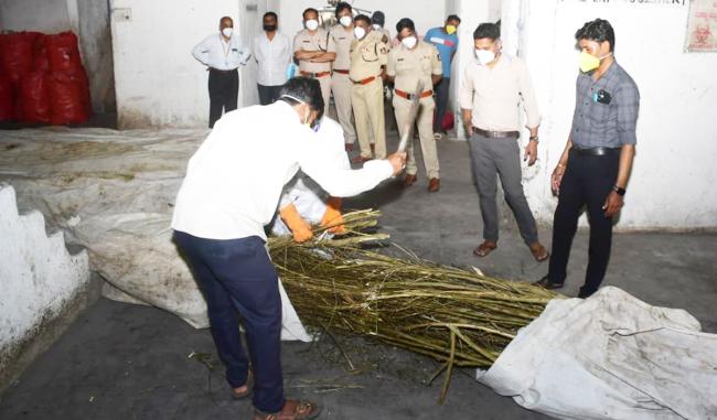 ಅಕ್ರಮ ಮಾದಕ ವಸ್ತುಗಳನ್ನು ನಿಯಮಾನುಸಾರ ನಾಶಪಡಿಸಲಾಯಿತು