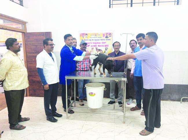 ರೇಬಿಸ್ ನಿಯಂತ್ರಣ ಕುರಿತು ಜರುಗಿದ ತಾಂತ್ರಿಕ ಕಾರ್ಯಗಾರ 