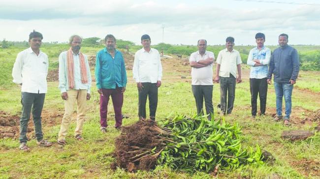 ಮಹದೇವಪ್ಪ ನಾಯ್ಕಪ್ಪಗೋಳ ಸರ್ಕಾರಿ ಜಮೀನನ ಮಾವಿನಗಿಡ  ನೆಟ್ಟರು