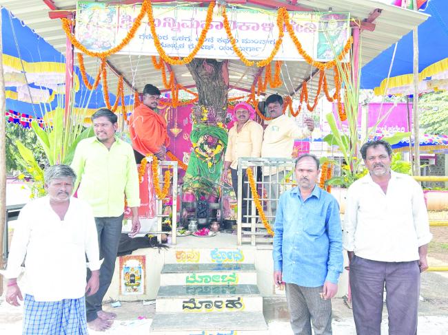 ನವರಾತ್ರಿ ಹಬ್ಬದ ಆಚರಣೆಯ ಅಂಗವಾಗಿ ಬನ್ನಿ ಮರಕ್ಕೆ ವಿಶೇಷ ಪೂಜೆ   