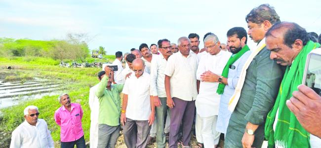 ರಾಜ್ಯದ ಕಾಂಗ್ರೆಸ್ ಸರ್ಕಾರ ಸತ್ತು ಹೋಗಿದೆ: ಆರ್‌. ಅಶೋಕ ಆರೋಪ 