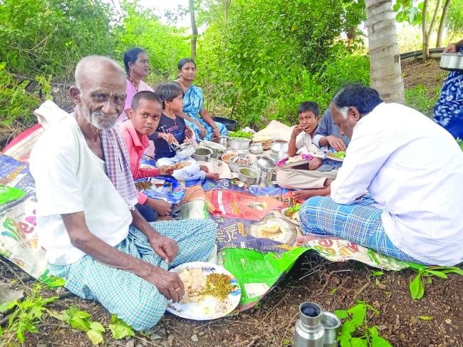 ಸಂಭ್ರಮದಿಂದ ಸೀಗೆ ಹುಣ್ಣಿಮೆ ಹಬ್ಬ ಆಚರಿಸಿದ ರೈತರು  