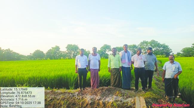 ಭತ್ತದ ಬೆಳೆಯಲ್ಲಿ ದುಂಡಾಣು ಮಚ್ಚೆ ರೋಗ ನಿರ್ವಹಣೆಗೆ ಮುಂಜಾಗ್ರತಾ ಕ್ರಮವಹಿಸಲು ಕೃಷಿ ಉಪನಿರ್ದೇಶಕ ಎಸ್‌.ಎನ್‌.ಮಂಜುನಾಥ ಸಲಹೆ 