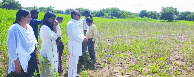 ಶಾಸಕ ಅಪ್ಪಾಜಿ ನಾಡಗೌಡರಿಂದ ಬೆಳೆ ಹಾನಿ ವೀಕ್ಷಣೆ  