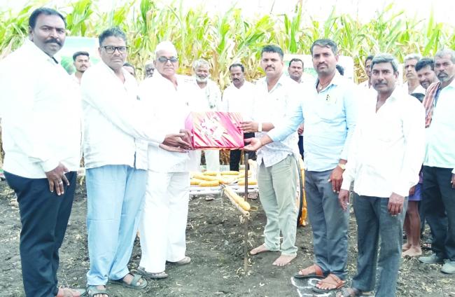 ಕಡಿಮೆ ಅವಧಿಯಲ್ಲಿಹೆಚ್ಚು ಗೋವಿನ ಜೋಳ ಉತ್ಪಾದನೆ ಸಾಧ್ಯ: ಪ್ರಜ್ವಲ್ ಸೋಸಟ್ಟಿ 