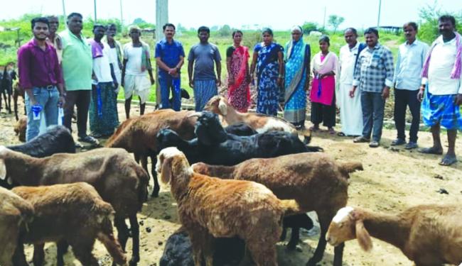 ಕಿನ್ನಾಳ ಗ್ರಾಮದಲ್ಲಿ ವಲಸೆ ಕುರಿಗಾರರಿಗೆ ಗುರುತಿನ ಚೀಟಿ ವಿತರಣೆ  