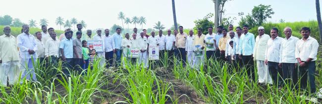 ಕಬ್ಬು ಬೆಳೆಯುವ ರೈತರು ಕಡಿಮೆ ರಸಗೊಬ್ಬರ ನೀರು ಬಳಕೆ ಮಾಡಿ  