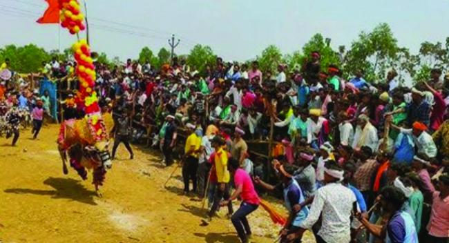 ಜನಮನ ಸೆಳೆದ ಮಲ್ಲೂರ ಗ್ರಾಮದಲ್ಲಿ ಜರುಗಿದ ಎತ್ತಿನ ಓಟದ ಸ್ಪರ್ಧೆ