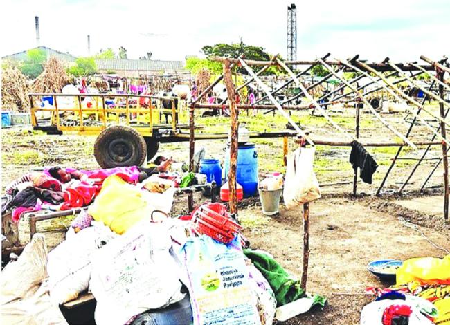 ಕಬ್ಬು ನುರಿಯುವ ಹಂಗಾಮು: ಕಬ್ಬು ಕಟಾವು ಕಾರ್ಮಿಕರ ಟೆಂಟ್‌ಗಳ ನಿರ್ಮಾಣ 