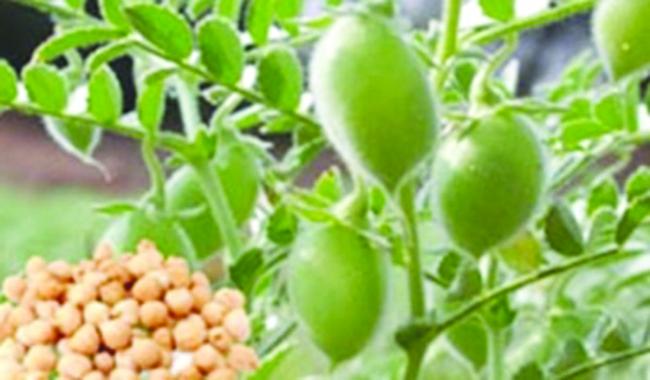 ಕೃಷಿ ಪ್ರಶಸ್ತಿಗೆ ಅರ್ಜಿ ಆಹ್ವಾನ 