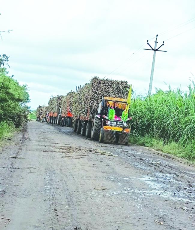 ಪ್ರತಿ ಟನ್ ಕಬ್ಬಿಗೆ 3300 ರೂಪಾಯಿಗಳನ್ನು ಘೋಷಿಸಿದೆ 