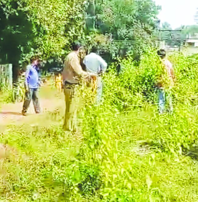 ದಾಂಡೇಲಿಯ ಡಿಎಫ್‌ಎ ಟೌನ್ ಶಿಪ್‌ನಲ್ಲಿ ಮನೆ ನಿರ್ಮಾಣಕ್ಕೆ ಭೂಮಿ ಅತಿಕ್ರಮಣ: ಅಧಿಕಾರಿಗಳ ಜಾಣ ಮರೆವು 