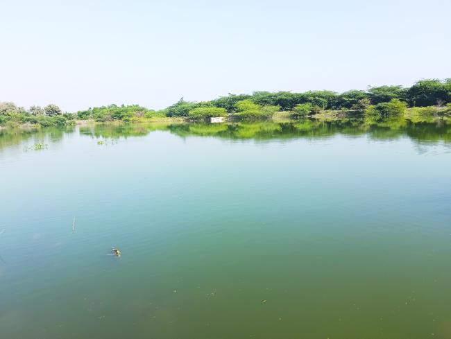 ಚಿಕ್ಕ ಅಗ್ರಾನೆ ನದಿಯಿಂದ ಪೈಪ್ ಲೈನ್‌: ಭವಿಷ್ಯದಲ್ಲಿ ನೀರಿನ ಸಮಸ್ಯೆ ಉದ್ಭವಿಸುವುದಿಲ್ಲ 