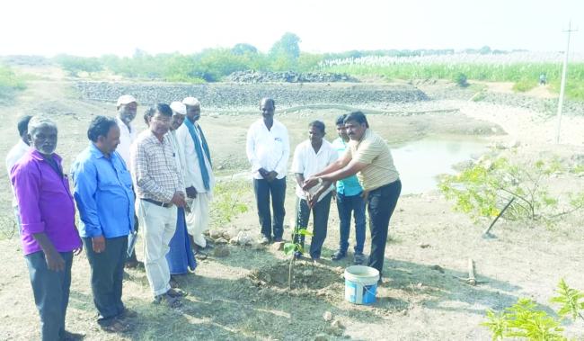 ಸಂವಿಧಾನ ದಿನಾಚರಣೆ ಅಂಗವಾಗಿ ಸಸಿ ನೆಟ್ಟ ಭೀಮಾಶಂಕರ ಕನ್ನೂರ 
