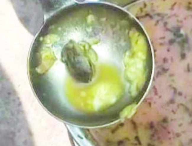 ಸರ್ಕಾರಿ ಶಾಲೆಯ ಬಿಸಿಯೂಟದಲ್ಲಿ ‘ಕಪ್ಪೆ ಸಾಂಬರ್‌’