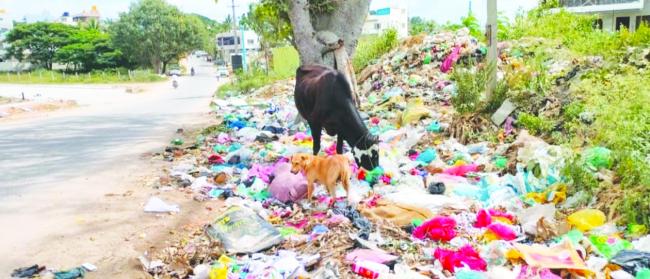 ಕಸ ವಿಲೇವಾರಿಯಲ್ಲಿ ನಾಗರೀಕತೆ ಸೋತಿದೆ  